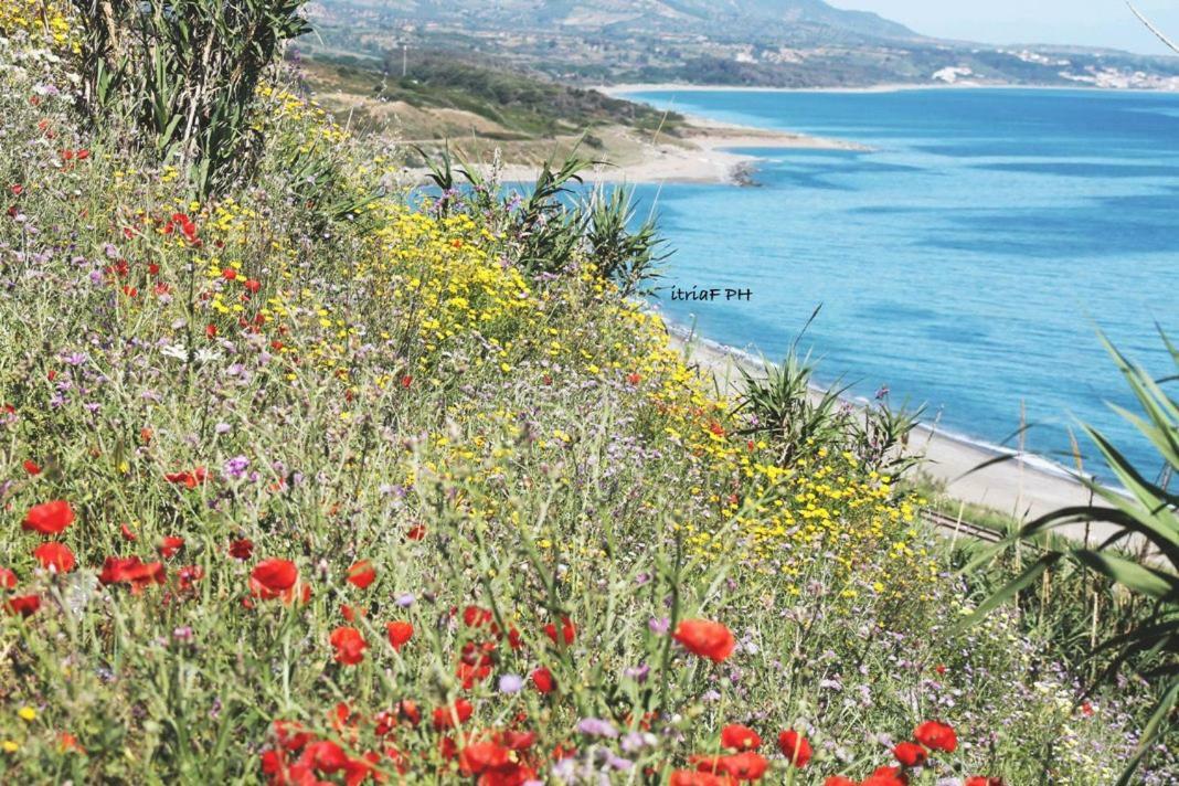 Climatizzato In Centro A 100M Dal Mare Βίλα Cirò Marina Εξωτερικό φωτογραφία