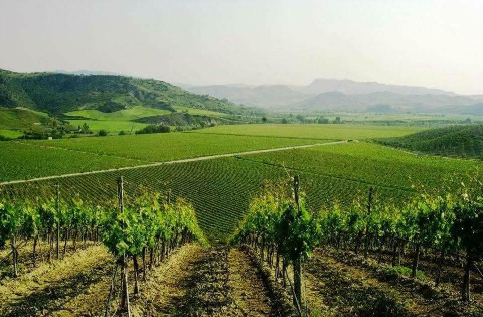 Climatizzato In Centro A 100M Dal Mare Βίλα Cirò Marina Εξωτερικό φωτογραφία